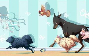 Wallpaper Jellyfish Parrot Dramatical Murder Doberman Beni