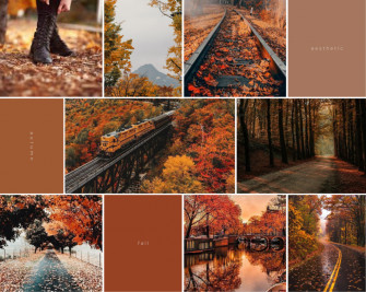 Autumn Wallpaper Aesthetics