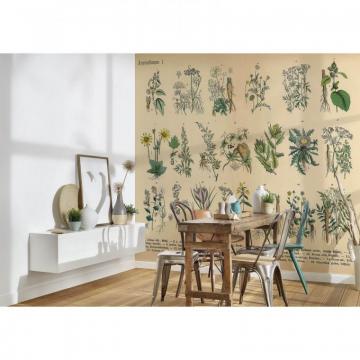 Photo Wallpaper Medicinal Plants Beige Dd109065