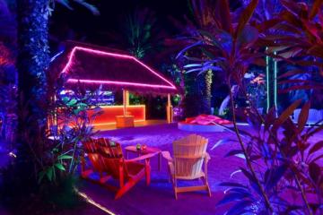 Miami Art Week In Pictures Wallpaper