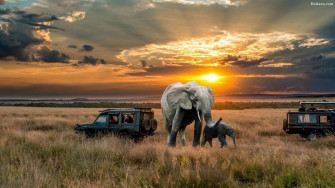 Night Luxury Safari Echo Wild Africa