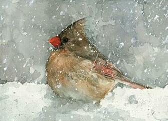 Cardinal Bird Snow On Print