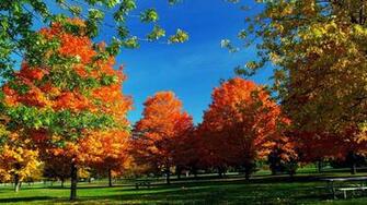 Wallpaper Background Autumn England Background