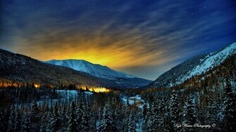 Winter Night Wallpaper Grasscloth