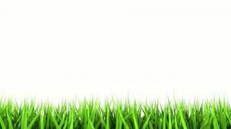 File Name Cool White Wallpaper