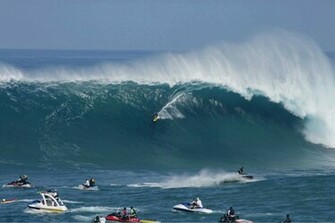 Surfers In Shark Attack