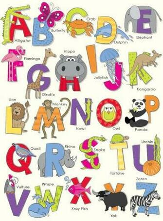 Animals Abc By Arthouse Wallpaper Direct
