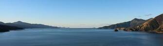 Proudly Growing The World S Best Salmon Right Here In Marlborough