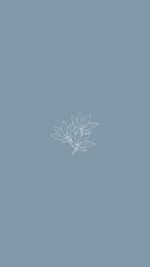 iPad Wallpaper Minimalist Flowers Minimalistischen