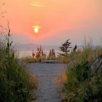 Summer Solstice iPad Wallpaper Ppt Garden
