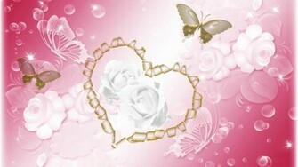 Rose Flower Wallpaper Beautiful White