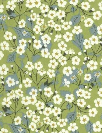 Liberty Of London Tana Lawn Mitsi C Wallpaper