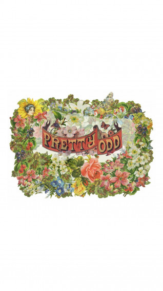 Pretty Odd Lock Screen Un5iqk35h6ccag1t Wallpaper