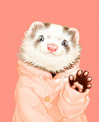 Copy Of Blaze Ferret iPad Case Skin By Ichigodawashi