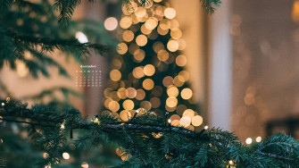 December Wallpaper Bies For Desktop Phones