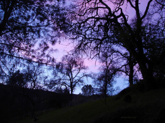 Goth Background Wallpaper