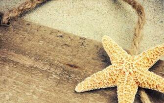 Starfish Background Wallpaper