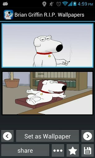 Brian Griffin Wallpaper Weddingdressin
