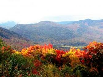 Wallpaper Autumn Trees Desktop Normal5