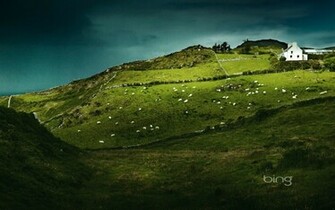 Sheep S Head Ireland Computer Wallpaper Desktop Background