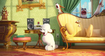 The Secret Life Of Pets Movie HD Wallpaper Digitalhint