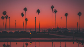 Wallpaper Palms Sunset San Diego Usa