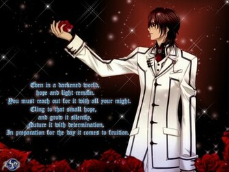 Vampire Knight Wallpaper