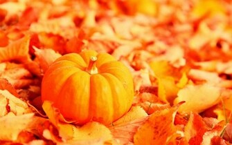 Wallpaper Pumpkin