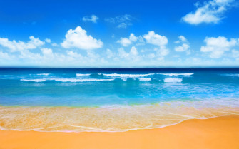 4k Summer Wallpaper
