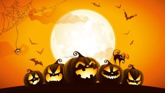 Wallpaper Spider Halloween Moon Cat Orange Holiday