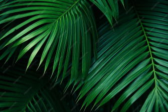 Premium Photo Wallpaper