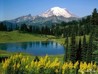 Alpine Scenic Wallpaper The Sexy