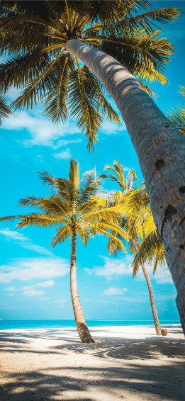 Beach iPhone Wallpaper Aesthetic