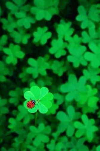 iPhone Wallpaper St Patrick S Day Tjn