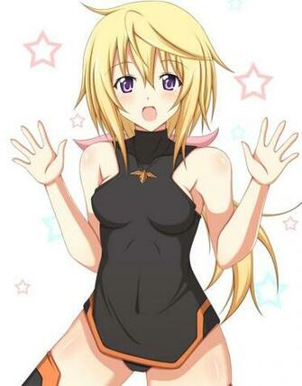 Charlotte Dunois Is Infinite Stratos Artbooks Theanimegallery