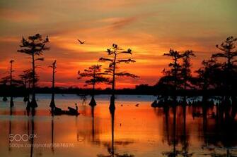 Sunset On The Bayou Wallpaper
