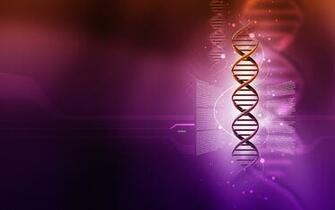 Random Plasmid HD Wallpaper Theme Bin Customization