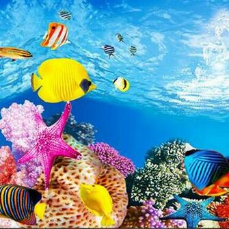 Hot Sale Aquarium Background Paper HD Picture 5d Three Dimensional