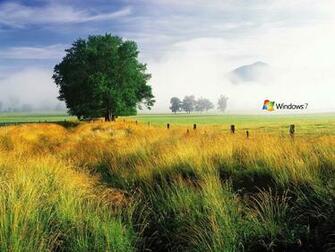 Windows Desktop HD Wallpaper11