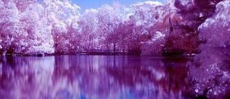 Purple Landscape Wallpaper Bring You An Unprecedented Shock