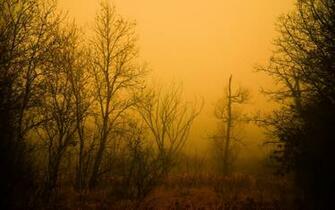 HD Wallpaper Full Wonderful Nature Wide Screen