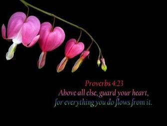 Bible Verses Wallpaper Proverbs Galleryhip The