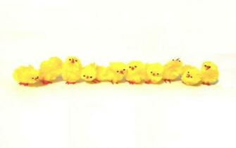 Easter Chicks Wallpaper Stock Photos