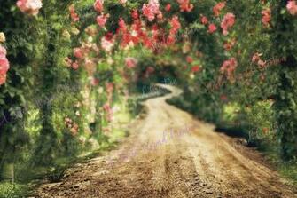 Digital Background Spring Backdrop Trails Path Summer