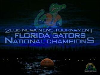 Gator Wallpaper Florida