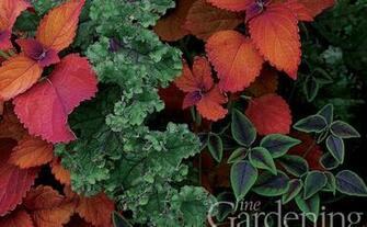 Fine Gardening Wallpaper Issue