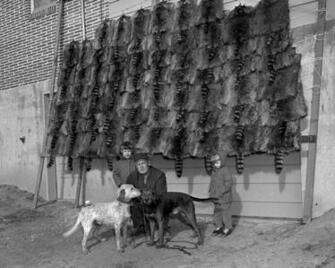 Coon Hunting History Image Search Results