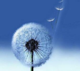 Galaxy S3 Screensaver Wallpaper Apps Directories