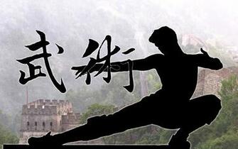 Kung Fu Wallpaper Action By Best HD
