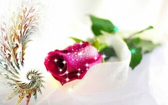 New Love Rose HD Wallpaper